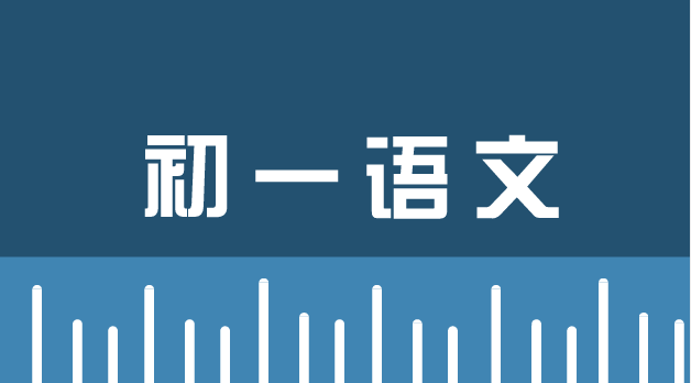 3步解题法助你冲破初一语文阅读理解难拿高分的窘境